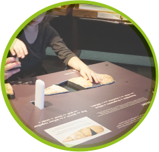 Visitors touch an artifact positioned on an exhibition plaque