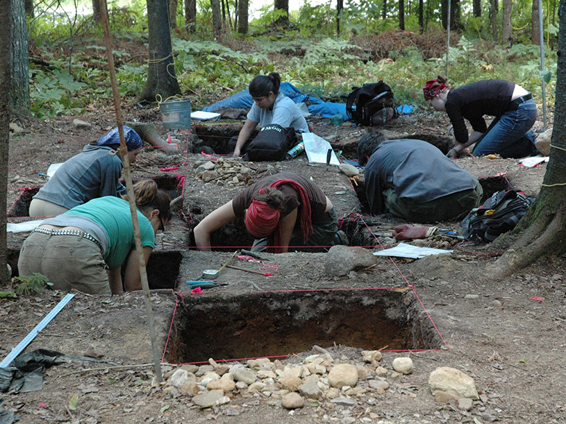 Undergrowth with excavation squares and excavators. In the background, a person is bent over a sifting screen. In the foreground, an excavated square and a bucket. There are six people in the photo.