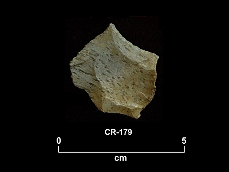 Chipped stone shard of a reddish-green colour with a small spur on each side and a pointed front. The number CR-348 and a scale of 1 unit:5 cm are shown below.