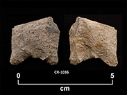 Two sides of a fragment of beige chipped stone with straight edges and a slightly concave base. The number CR-1036 and a scale of 1 unit:5 cm are shown below.