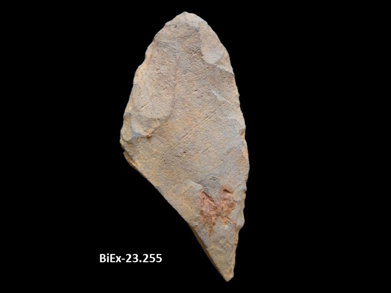 Fragment de la partie distale d’une pointe lancéolée en pierre taillée beige. La cassure est oblique. La cote BiEx-23.255 est inscrite en dessous.