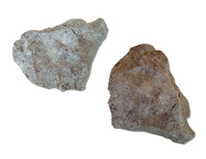 Deux fragments de roche taillée de forme indéterminées