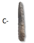 Stone borer identified by letter C