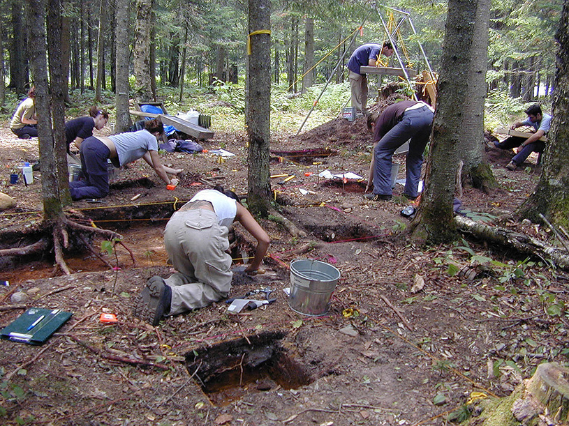 Six étudiantes fouillent chacune un carré de fouille dans un sous-bois. Au premier plan, des roches devant un carré de fouille excavé et non occupé.  Il y a sept personnes dans la photo.