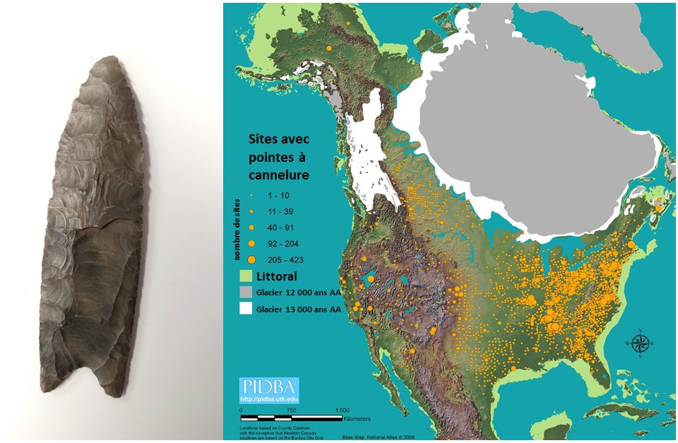 On the left, a photograph of a chipped stone point with a flute starting from its base. On the right, a map of North America with several yellow dots indicating the sites where fluted points have been found, with most concentrated in the eastern United States.