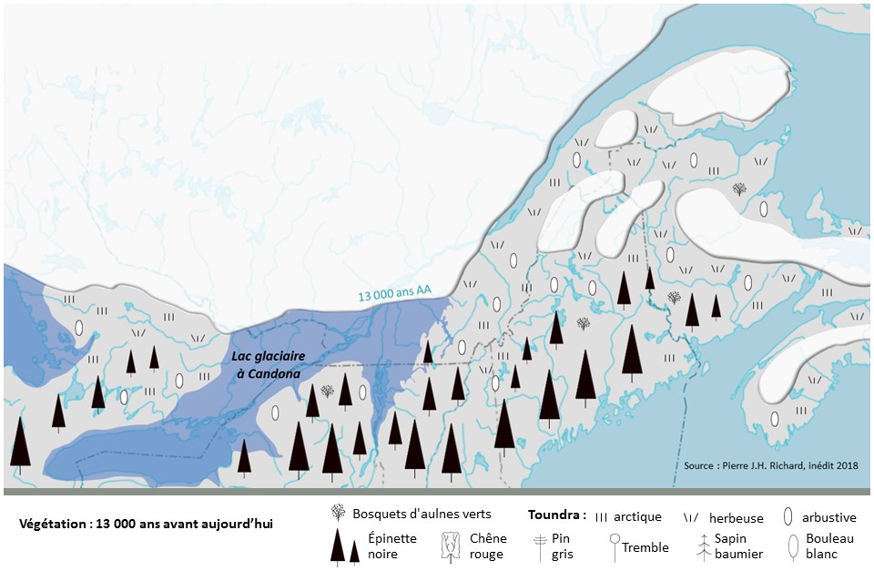 Carte de l’est de l’Amérique du Nord. Il y a un grand lac indiqué et des symboles représentant la végétation il y a 13 000 ans : bosquets d'aulnes verts; toundra arctique, herbeuse et arbustive; épinette noire; chêne rouge; pin gris; tremble; sapin baumier; bouleau blanc.