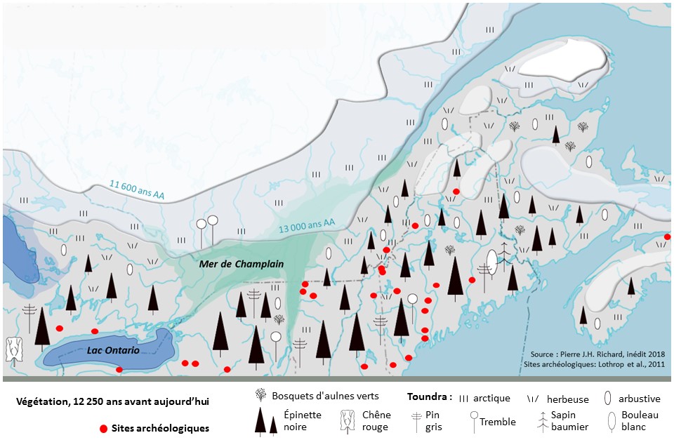 Map of eastern North America. At the centre, a greenish area is shown with symbols representing the vegetation 12 250 years ago: Small stands of green alders; grassy and shrubby Arctic tundra; black spruce; red oak; jack pine; aspen; balsam fir; white birch.