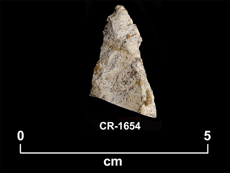 Fragment de pierre taillée beige en forme de triangle irrégulier, avec des inclusions de minéraux et la fin d’un éclat de cannelure. La cote CR-1654 et une échelle 0 à 5 centimètres sont inscrites en dessous.