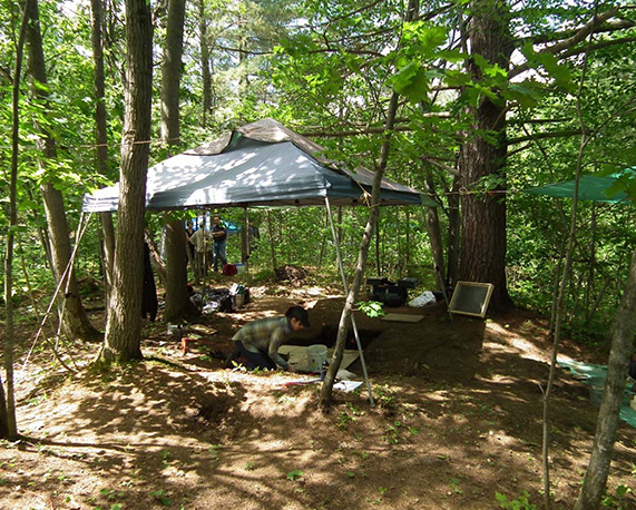 Photo d'un site de fouille archéologique avec les archéologues qui travaillent sous une tente dans le bois.