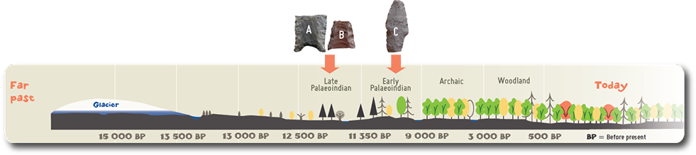 Artifacts A and B represent two Clovis fluted point fragments dating from the Early Palaeoindian period.